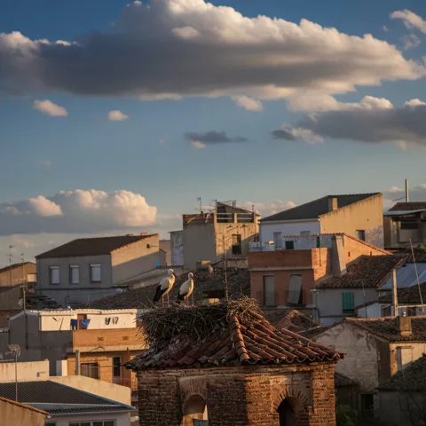 Cigüeñas sobre tejado con vistas del caserío al fondo