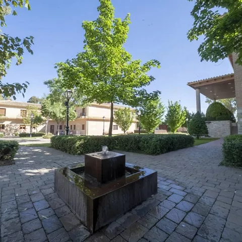 Jardín interior con fuente central y caminos adoquinados rodeados de vegetación.