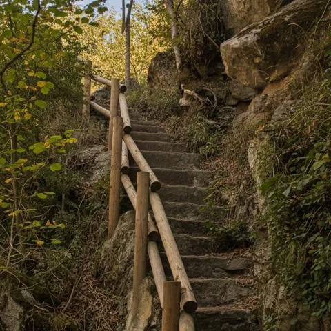 Escalera de piedra con barandilla en sendero forestal