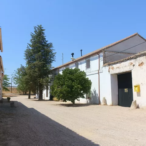 Patio de grava con árboles y fachadas blancas