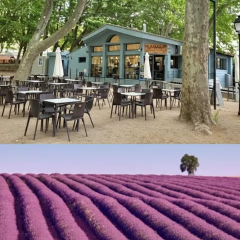 Terraza con mesas y sillas junto a un quiosco en un parque arbolado.