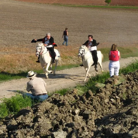 Carrera de jinetes en camino rural