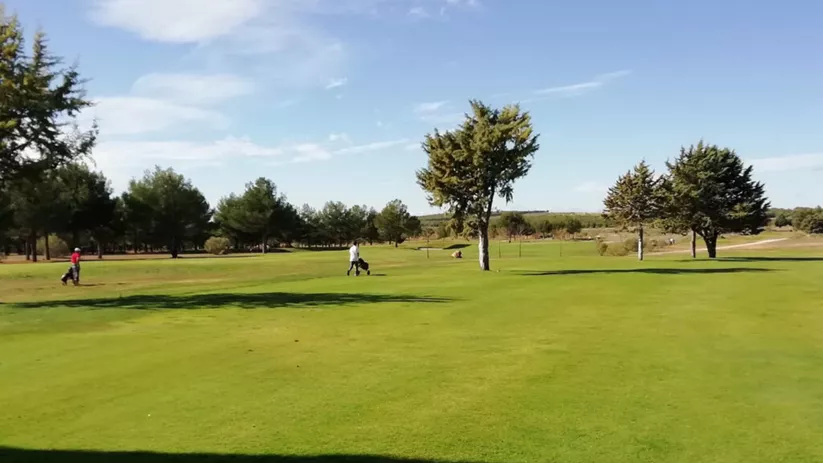 Campo de golf con arbolado disperso