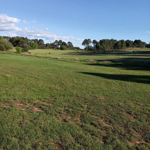 Amplio campo de juego al atardecer