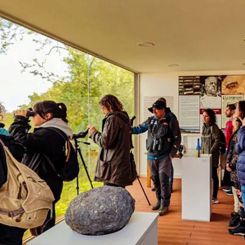 Visitantes observando paneles y paisaje desde interior acristalado