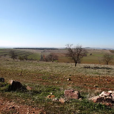 Paisaje rural con árboles dispersos y terrenos agrícolas