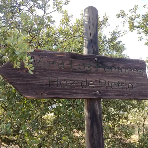Señal de madera en ruta natural rodeada de árboles