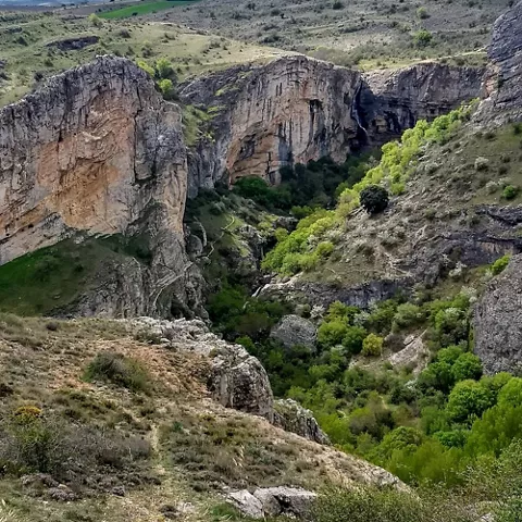 Cañón rocoso con paredes verticales y vegetación frondosa.