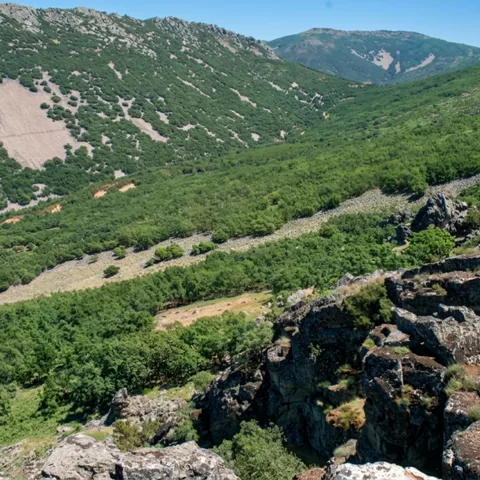 Sierra cubierta de vegetación y roquedos