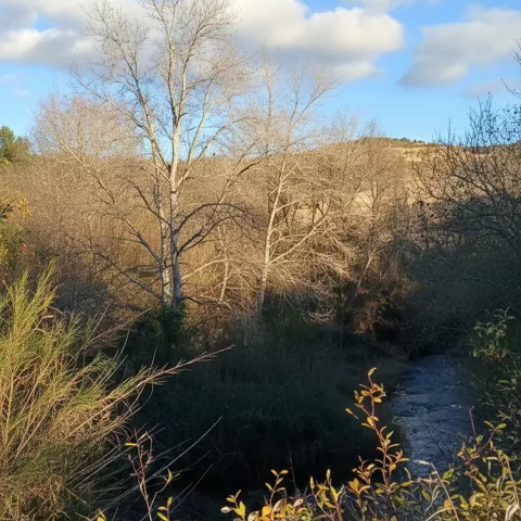 Paisaje natural en Motilleja con vegetación de ribera y colinas suaves bajo cielo despejado.