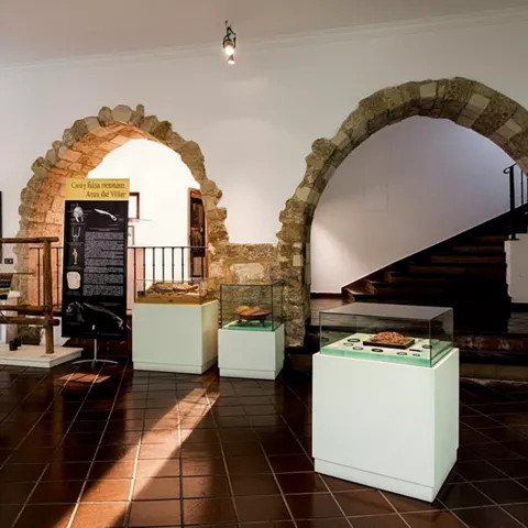 Interior con arcos de piedra y vitrinas arqueológicas.