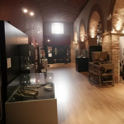 Sala de museo con arcos de ladrillo y vitrinas de cristal iluminadas.