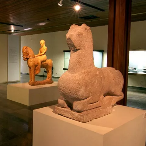 Sala museística con esculturas antiguas sobre pedestales y vitrinas iluminadas.