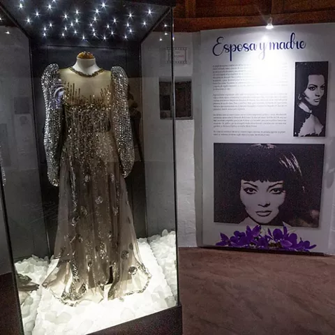 Detalle de vitrina con vestido largo de lentejuelas