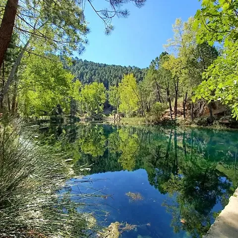 Laguna de agua transparente con reflejos de árboles y cielo