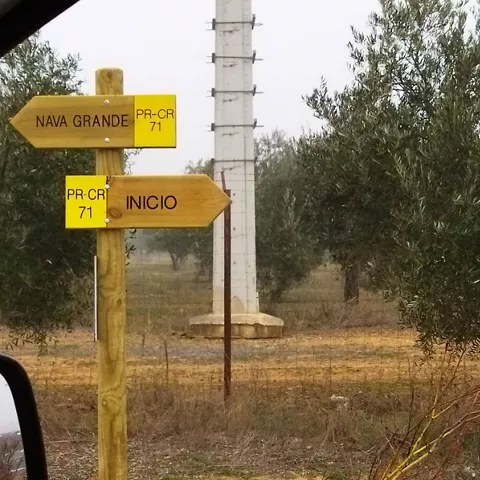 Señal de ruta de senderismo entre olivos y terreno agrícola