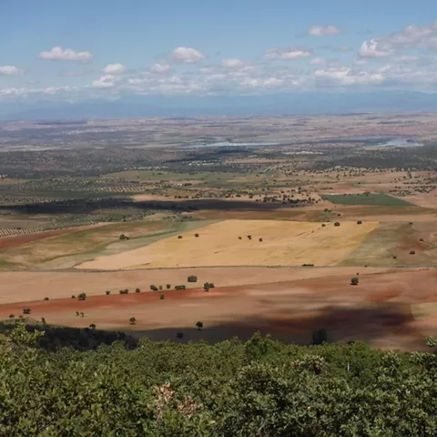 Llanura de cultivo vista desde una zona elevada