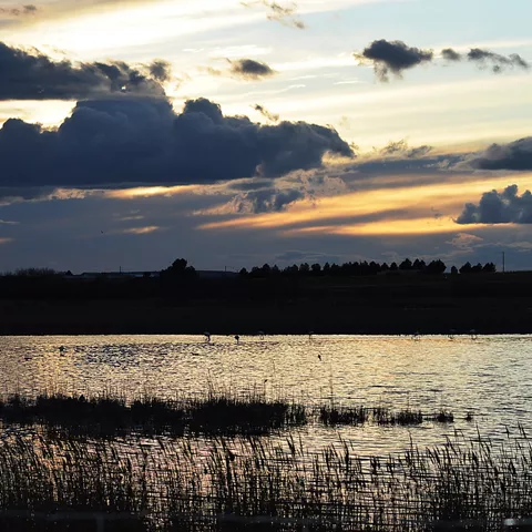 Laguna manchega al atardecer con aves y cielo nublado.