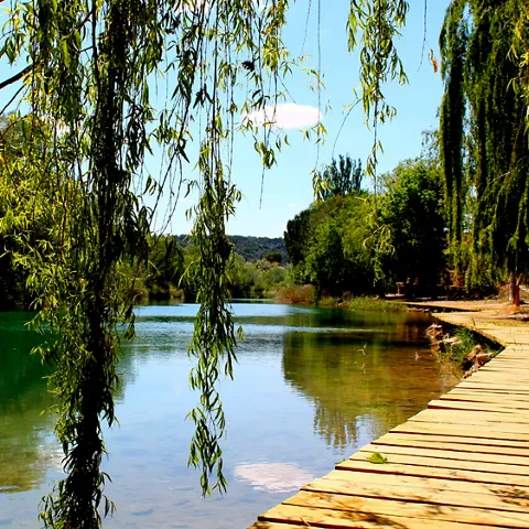 Sendero de madera junto al río.