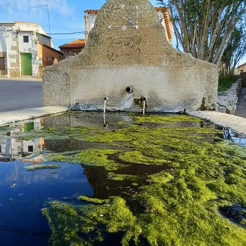 Pilar de piedra con agua y musgo en una plaza