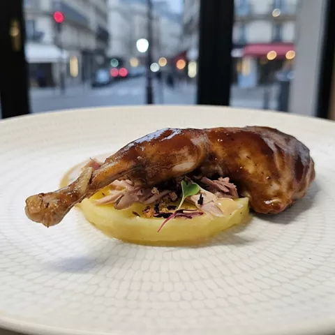 Perdiz guisada presentada en plato