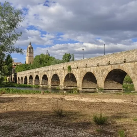 Puente de piedra junto a vegetación de ribera
