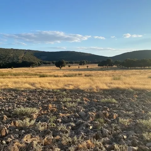 Llanura pedregosa con pasto seco y colinas al fondo