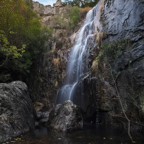 Una hermosa cascada de agua cristalina cae en varios saltos por una pared de roca oscura y húmeda hacia una pequeña poza en la base. Grandes rocas cubiertas de musgo y vegetación verde rodean la base de la cascada. En primer plano, agua tranquila con hojas de otoño flotando.