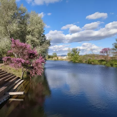 Orilla de río con gradas y árboles en flor
