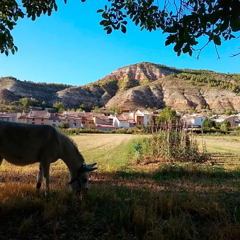 Burro pastando en un prado con casas y montañas al fondo.