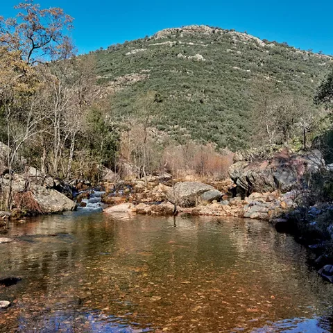 Poza tranquila rodeada de vegetación y montes.