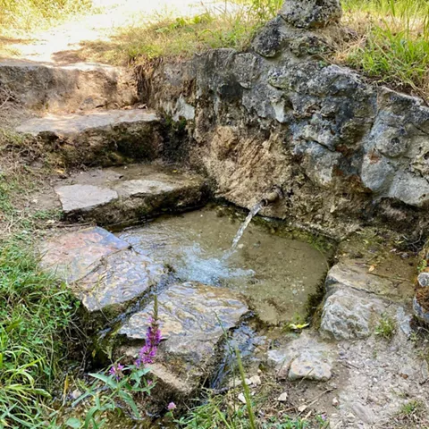 Fuente natural de ruta senderista.