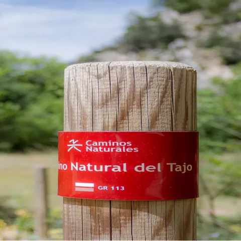 Señal de sendero en poste de madera entre vegetación