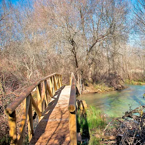Puente de madera sobre arroyo entre vegetación