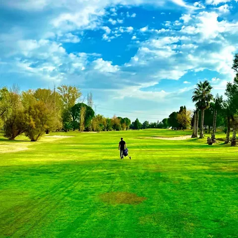 Jugador caminando por campo arbolado