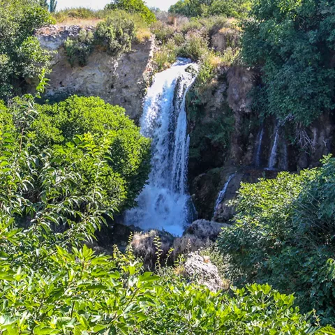 Cascada alta rodeada de vegetación densa y paredes rocosas.