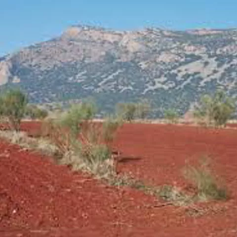 Paisaje agrícola con tierras rojizas y monte bajo