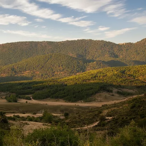 Panorámica de sierras cubiertas de pinares al atardecer