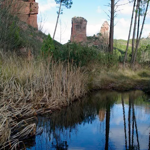 Lagunilla con rocas y pinar en valle natural