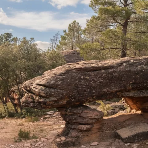 Roca horizontal apoyada sobre base natural entre pinos