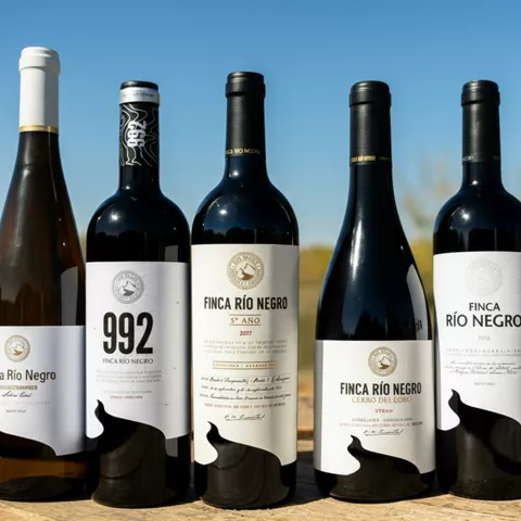 Botellas de vino alineadas sobre barrica.