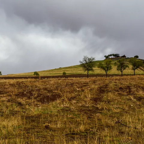 Paisaje rural con colina, árboles dispersos y cielo nublado.