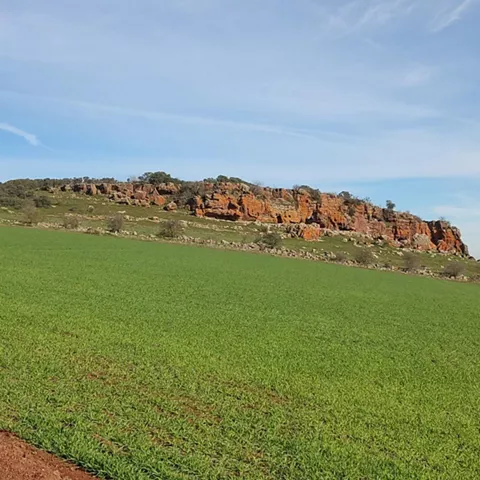 Escarpe rocoso junto a campo cultivado verde
