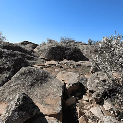 Paisaje rocoso con vegetación dispersa y cielo azul