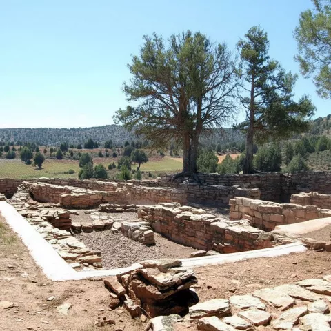 Cimientos de piedra en entorno natural.