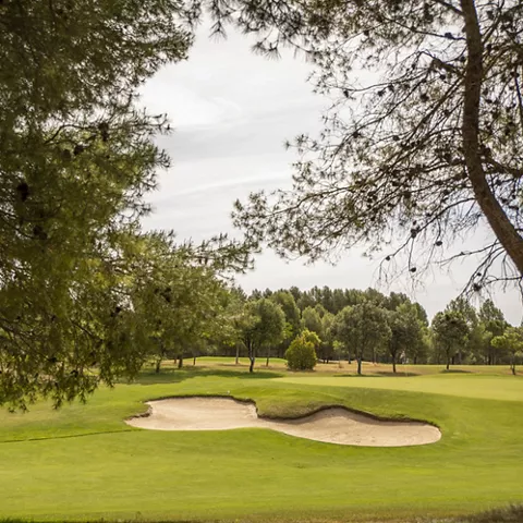 Green de golf con búnker de arena rodeado de árboles.