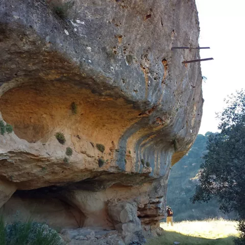 Abrigo rocoso con cavidades naturales y vegetación en la base