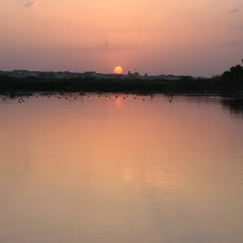 Atardecer sobre una laguna con aves y reflejos en el agua