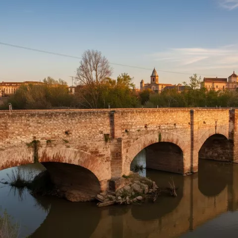 Puente de piedra visto en diagonal, con arcos sobre agua oscura y árboles al fondo.