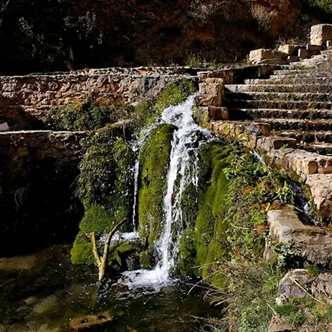 Cascada cubierta de musgo con escalinata de piedra.